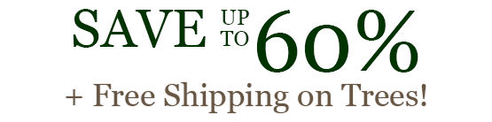 Save up to 60% + Free Shipping on Trees