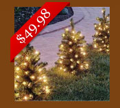 Black Friday Christmas Lights and Christmas Tree Sale