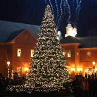 Commercial Christmas Tree