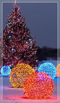 Wholesale Christmas Lights and Trees