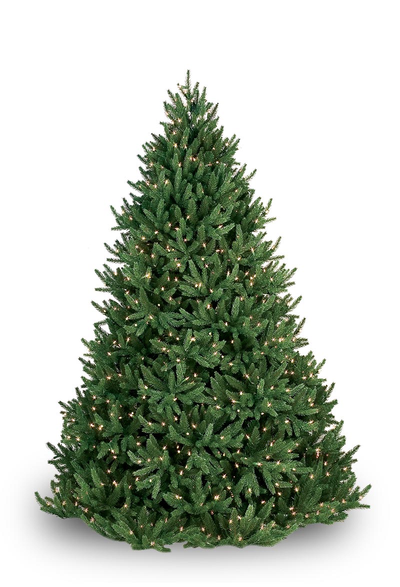Noble Fir Prelit Tree - Christmas 