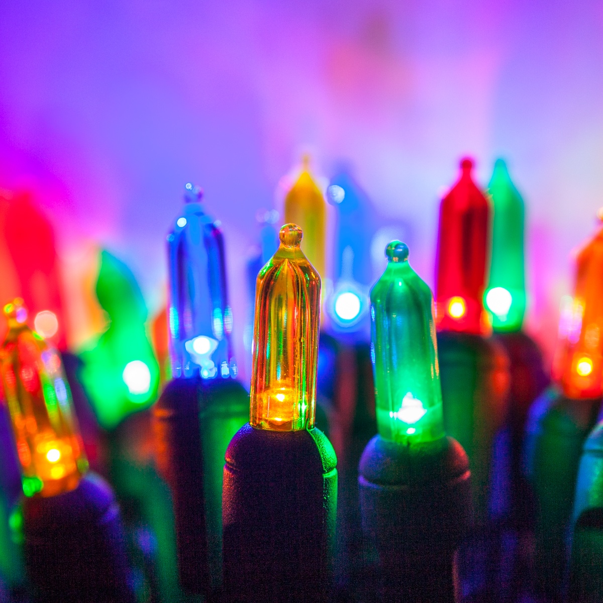 https://www.christmaslightsetc.com/images/CategoryDetail/46318/Multicolor-T5-LED-Mini-Lights-6968.jpg